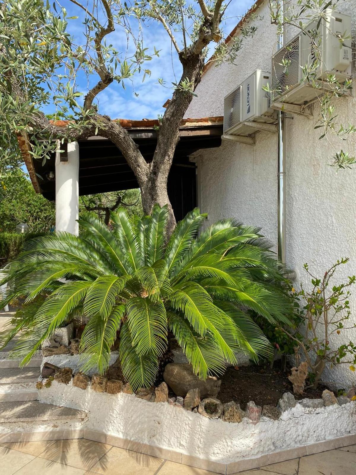 Domo Angheleda - Alghero Casa Indipendente Vicino Al Mare Εξωτερικό φωτογραφία