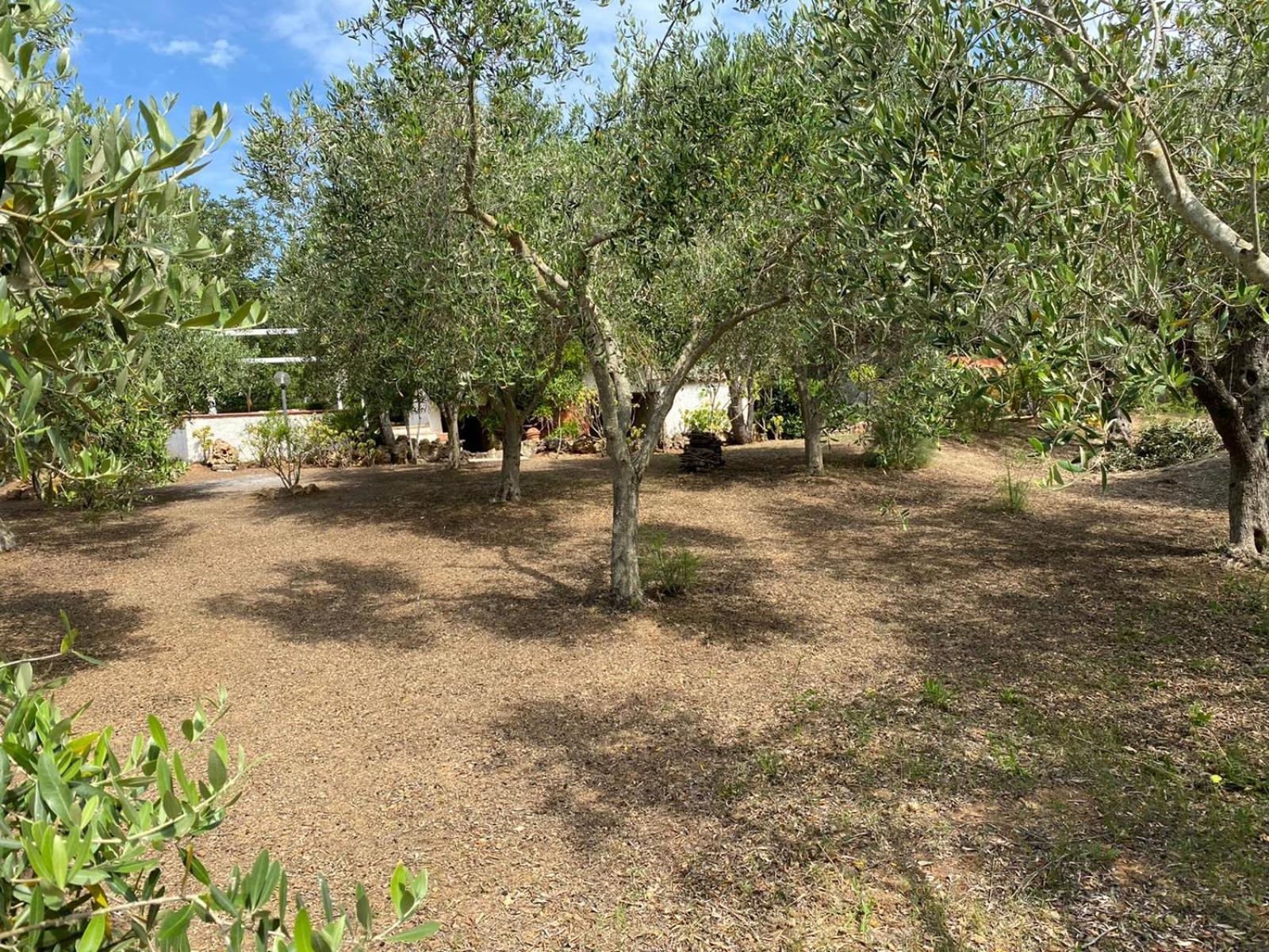 Domo Angheleda - Alghero Casa Indipendente Vicino Al Mare Εξωτερικό φωτογραφία